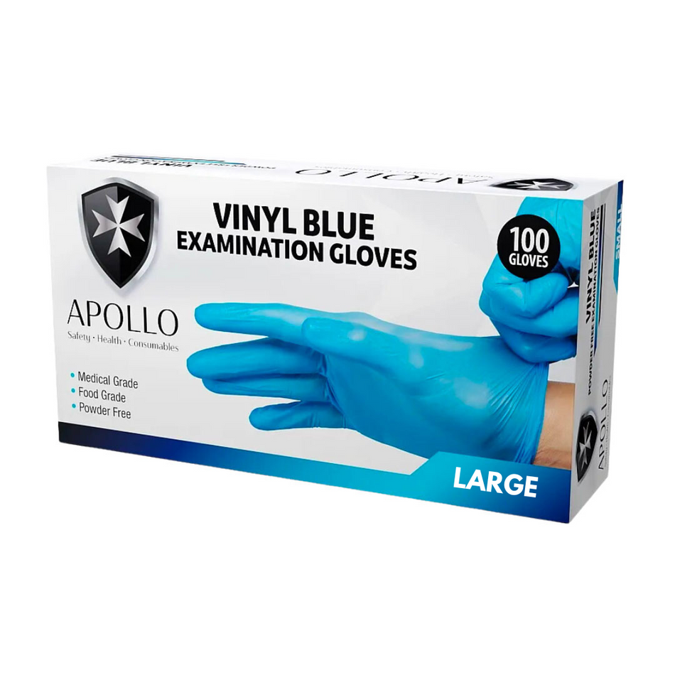 Vinyl Powder-Free Blue Large Gloves