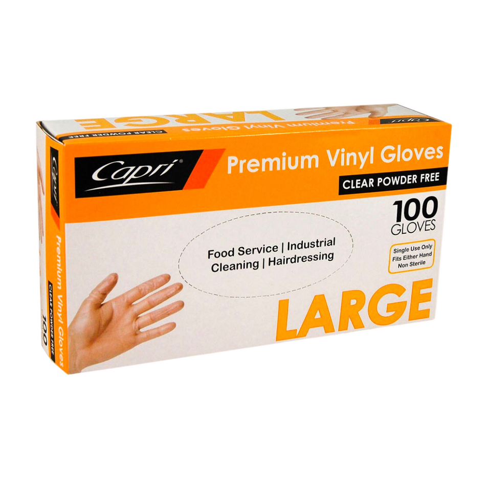 Vinyl Powder-Free Clear Large Gloves